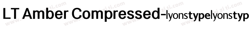LT Amber Compressed字体转换